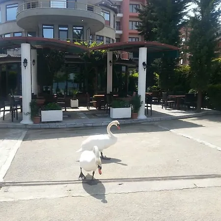 Hotel Saint Marena