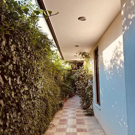 Saint Marena * Tushemisht